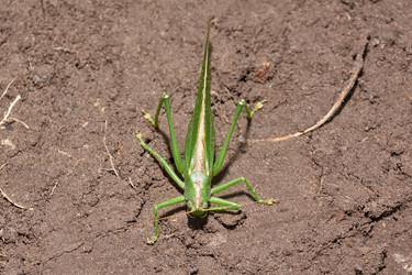 Similar image 21066316