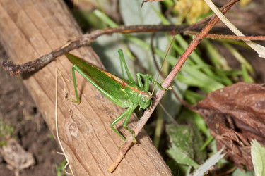 Similar image 21066317