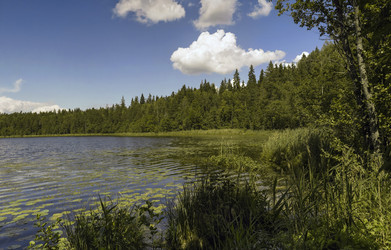 Similar image 21066628