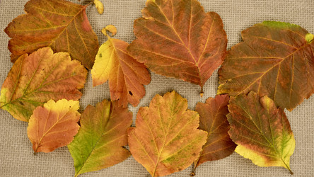 Similar image 21066368