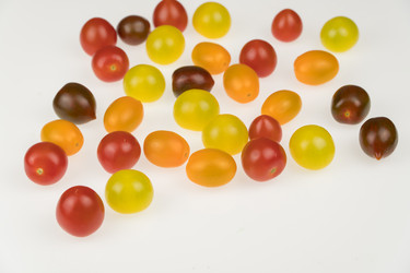 Similar image 21066522