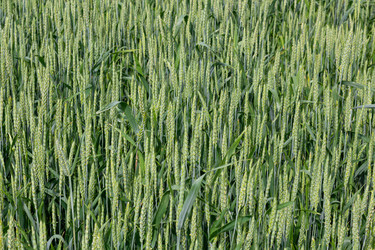 Similar image 21066964