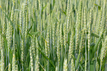 Similar image 21066965