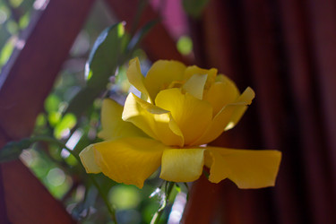 Similar image 21066967