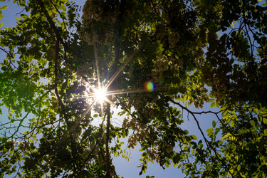 Similar image 21066969