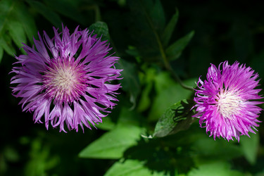 Similar image 21066972