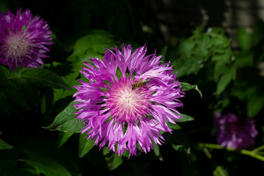 Similar image 21066973