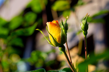 Similar image 21066974