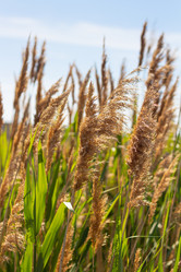 Similar image 21066978