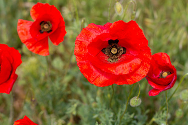 Similar image 21066979