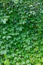 Similar image 21066998