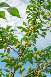 Similar image 21066999