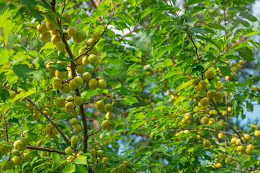 Similar image 21067000