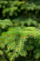 Similar image 21067002