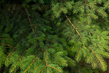 Similar image 21067003