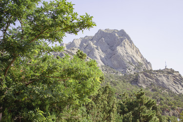 Similar image 21066643