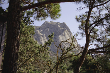 Similar image 21066644