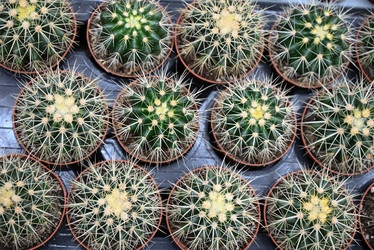 Similar image 21066374