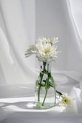 Similar image 21066375