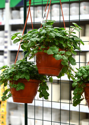 Similar image 21066380