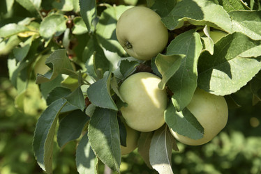 Similar image 21071390