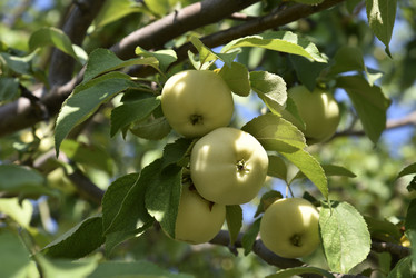 Similar image 21071392