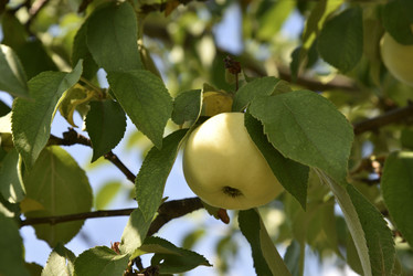 Similar image 21071394