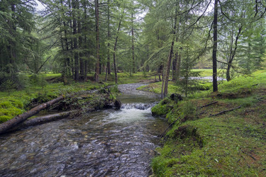 Similar image 21067768