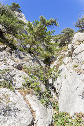 Similar image 21067771