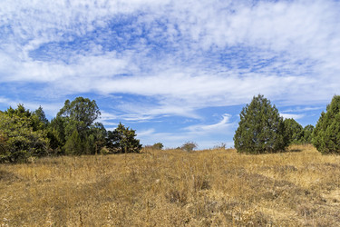 Similar image 21067777