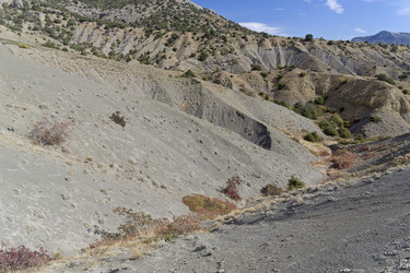 Similar image 21067785