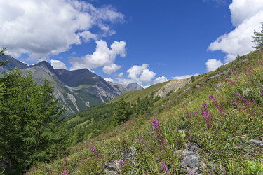 Similar image 21067792