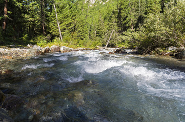 Similar image 21067796