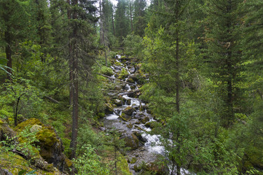 Similar image 21067797