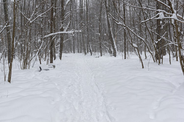 Similar image 21067803