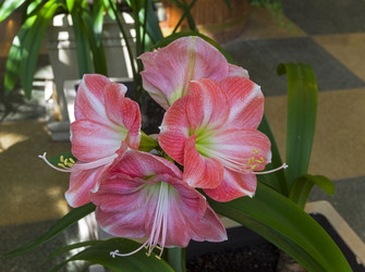 Similar image 21067808