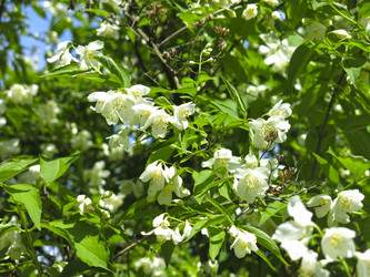 Similar image 21067812