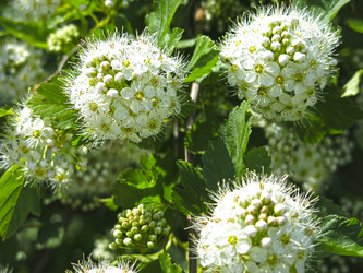 Similar image 21067816