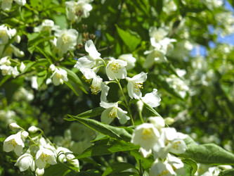 Similar image 21067817