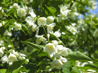 Similar image 21067819