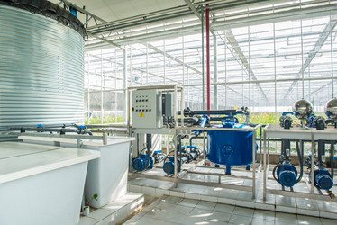 Similar image 21068589