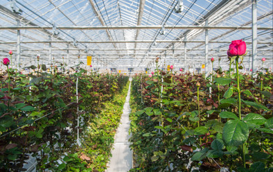 Similar image 21068640