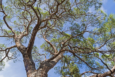 Similar image 21070214