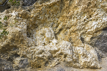 Similar image 21070225