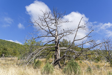 Similar image 21070230