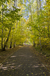 Similar image 21070233