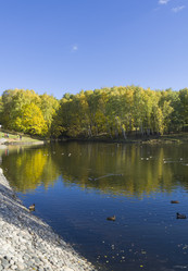 Similar image 21070234