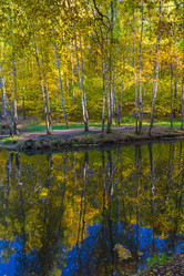 Similar image 21070236