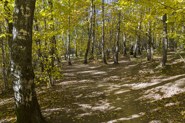 Similar image 21070239