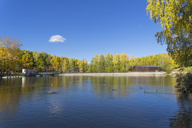 Similar image 21070244